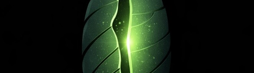 METAMORFOSE